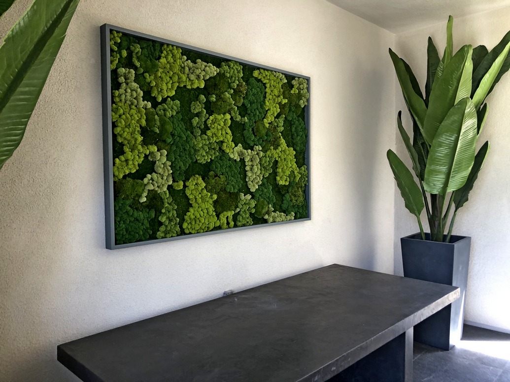 Preserved Moss Walls and Wall Art - Newton MA - Massachusetts Office Plant  Service, Interior Landscaping
