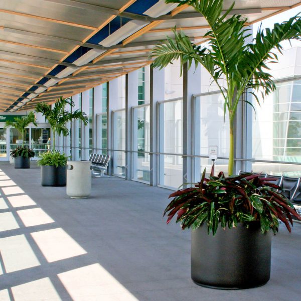 Recent Work - Greenleaf Interior Plant Solutions