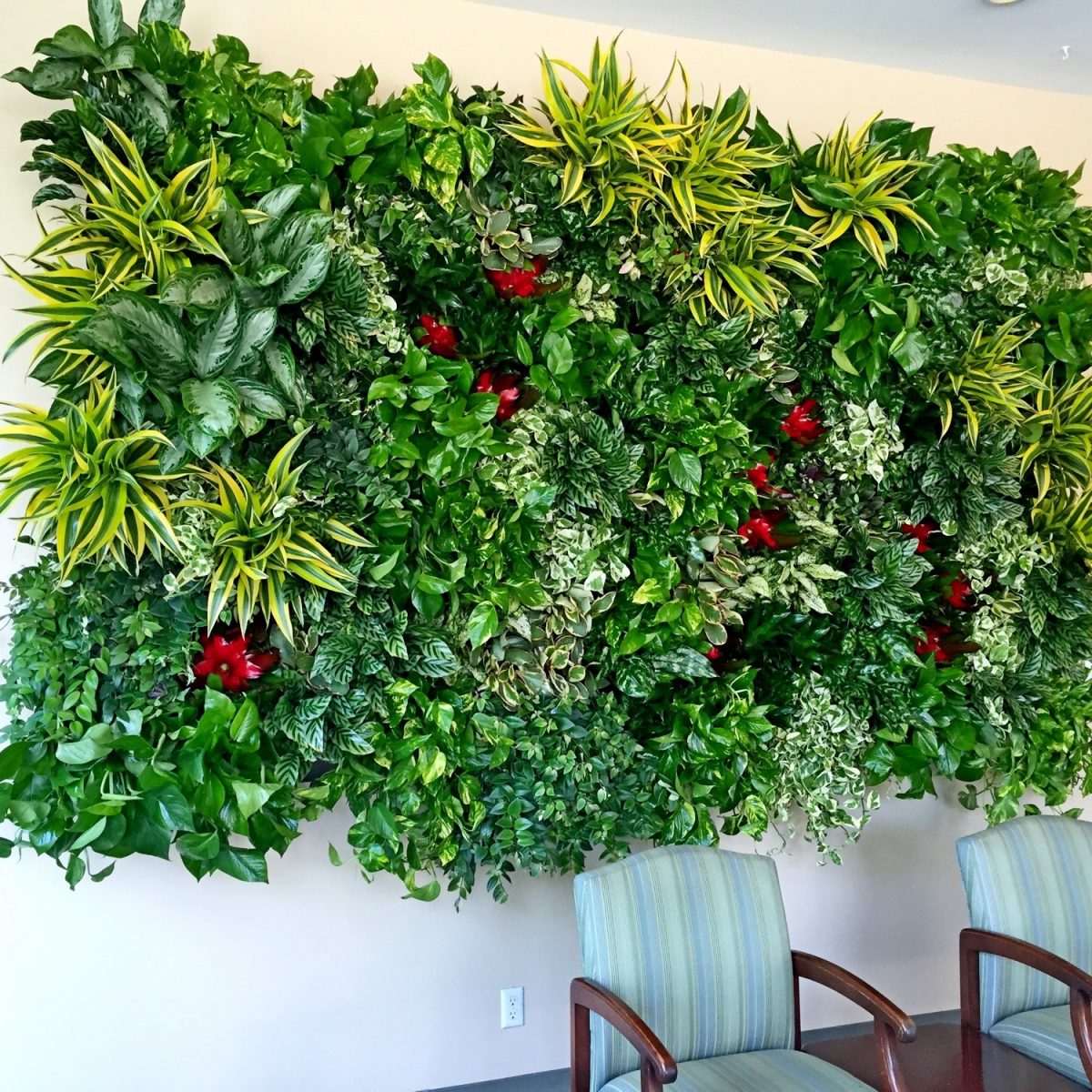 Living Wall Archives - Greenleaf Interior Plant Solutions