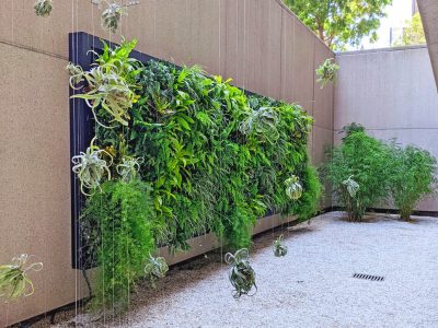 The Power of Living Walls in Commercial Environments