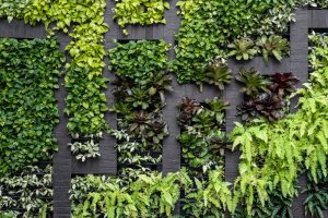 Do Living Walls Boost Productivity in Workspaces?