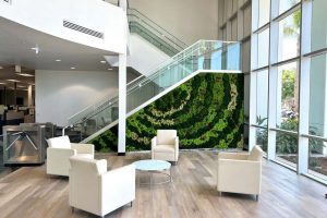 Why Plants Are Essential for Modern Commercial Spaces