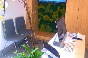 Reasons Why Your Office Needs a Living Wall