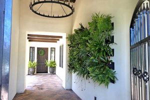 5 Facts About Living Walls