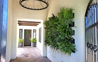 5 Facts About Living Walls