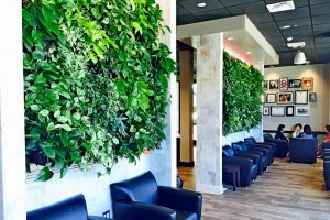 The Mental Health Benefits of Living Walls in Workspaces