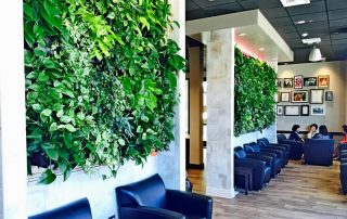 The Mental Health Benefits of Living Walls in Workspaces