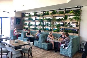 How Living Walls Can Enhance the Ambiance of a Restaurant