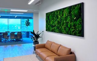 How Can Preserve Moss Walls Enhance the Ambiance of Commercial Spaces?