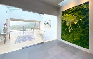 New Year, New Space: How Preserved Moss Walls Transform Commercial Interiors