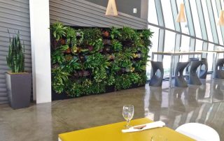 How Can Preserved Moss Walls Help Attract Eco-Conscious Customers?